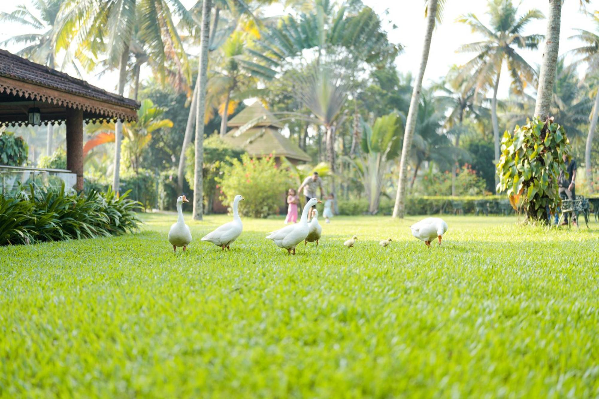 Lakesong Resort Kumarakom Ngoại thất bức ảnh